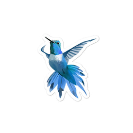Hummingbird Blue - Bubble-Free Stickers